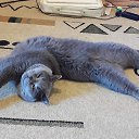 ���� �������, ������ - ��������� 22 ������� 2016 � ������ ���� ����������