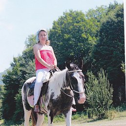 ���� ��������, ���������, 49 ��� - ��������� 16 ����� 2017