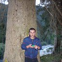 ���� Murman, �������, 41 ��� - ��������� 3 ������� 2016 � ������ ���� ����������