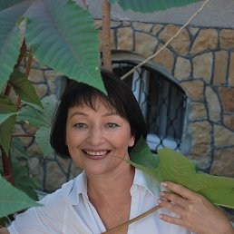 �����, ���������, 65 ���