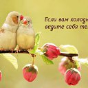 ���� Elen@, ������� - ��������� 13 ������� 2016 � ������ ������ ��������