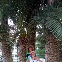 �������, ������, 60 ���