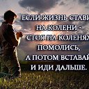 ���� (((Nk))), ��������� - ��������� 10 ������ 2017 � ������ ���� ����������
