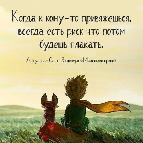 Я научилась быть одна и не жалею. По уходящим, я два дня всего, болею. Пусть мне вселенная даёт ...