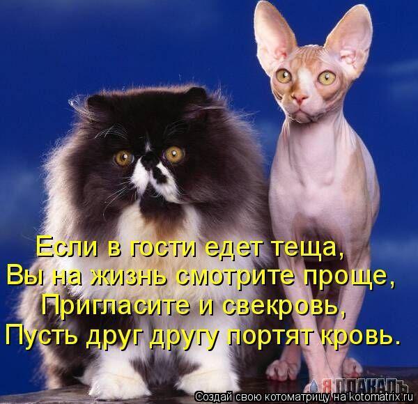  .     .  , - ,  ... - 7