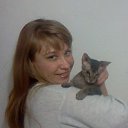 ���� �����, �������� - ��������� 4 ������ 2017 � ������ ���� ����������