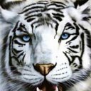 ���� ˸��, �����-���������, 43 ���� - ��������� 1 ������ 2016 � ������ ���� ����������