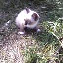 ���� �������, ����������� - ��������� 18 ������� 2017 � ������ ������� ��.�