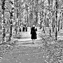 ���� ����������, ������� ��������, 63 ���� - ��������� 2 ������ 2017 � ������ ������� �������