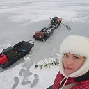  , -, 42  -  25  2017    