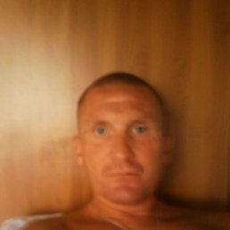 ���� �������, �����������, 54 ���� - ��������� 17 ������� 2016