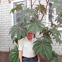 ���� ������, ��������, 66 ��� - ��������� 5 ������ 2016