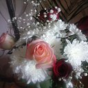 ���� ������, ������ - ��������� 20 ������ 2017