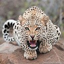 ���� �������, �����������, 58 ��� - ��������� 14 ����� 2017 � ������ ���� ����������