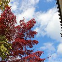 ���� Eva, ��������� - ��������� 11 �������� 2016 � ������ ���� ����������