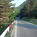  , , 59  -  24  2016    2015