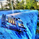 ���� �������, ���� - ��������� 16 ������� 2016 � ������ �www.instagram.com/photo.alex.beaver�