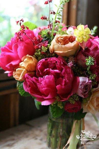 , ,  - 15  2016  08:20 - 5