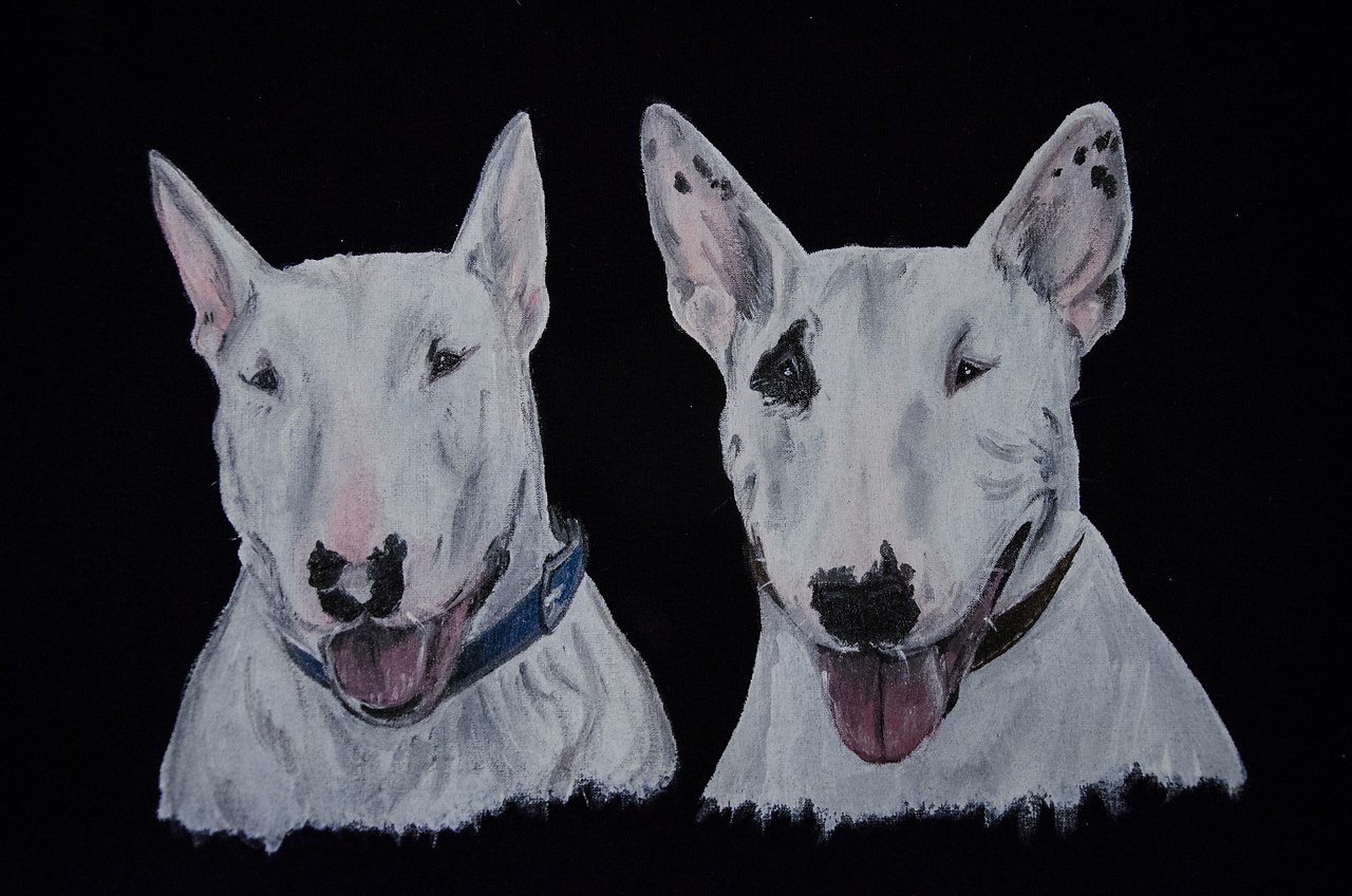 Hrafnsmerki things - https://fotostrana.ru/away?to=/sl/7feПредставляет вещички с авторским принтом, ... - 2