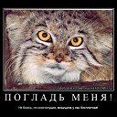 ���� ��������, ����� - ��������� 21 ������ 2016 � ������ ������ ��������