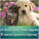  Alyonouchka...,  -  7  2017    