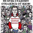 ���� ������, ������ - ��������� 20 ������ 2017 � ������ ���ƻ