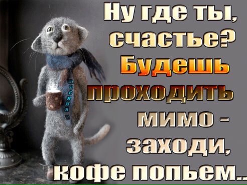 Татьяна - 11 января 2017 в 08:53