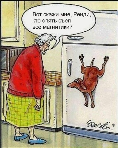 ��� �������� �������� - 17 ������ 2017 � 18:14