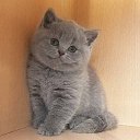 ���� �������, ������������, 48 ��� - ��������� 5 ������ 2016 � ������ ���� ����������