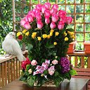 ���� Miasnik, ������, 70 ��� - ��������� 12 ������� 2016 � ������ ������ ��������