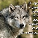 ���� ��������, ������������, 57 ��� - ��������� 6 ������ 2016 � ������ ���� ����������