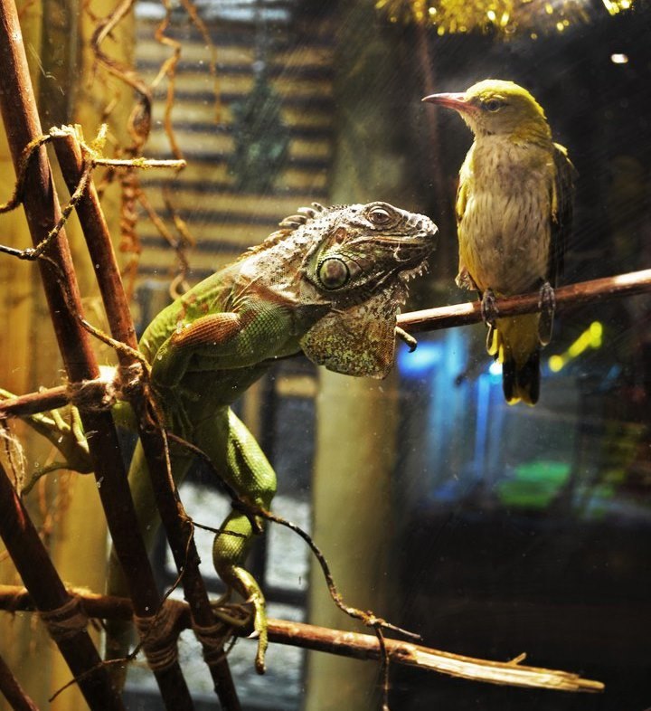 *.� �������� ���������� �������� "������ ����������" ������ ����������� � �������. ������� ...