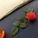 ���� �������, ������� - ��������� 18 ������� 2016 � ������ ���� ����������