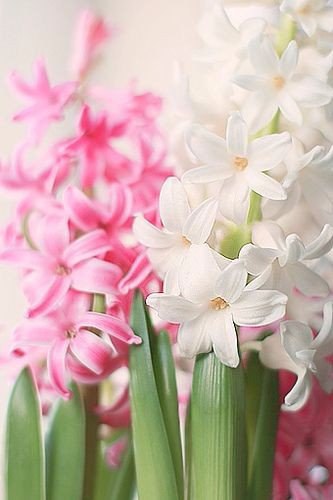 "  ..." - 16  2016  08:13 - 2