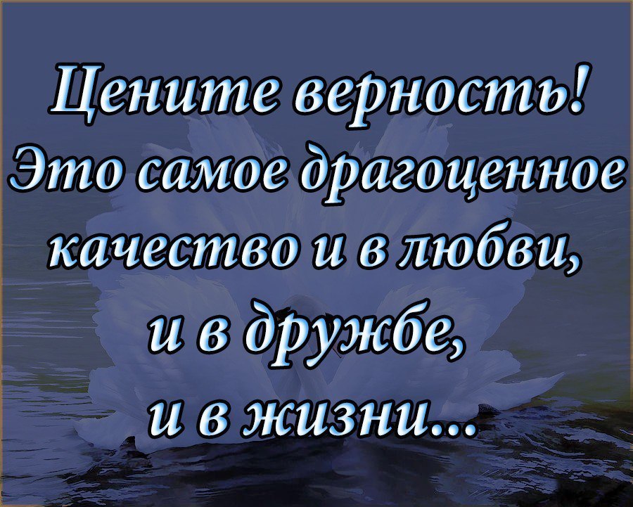   - 28  2017  19:30