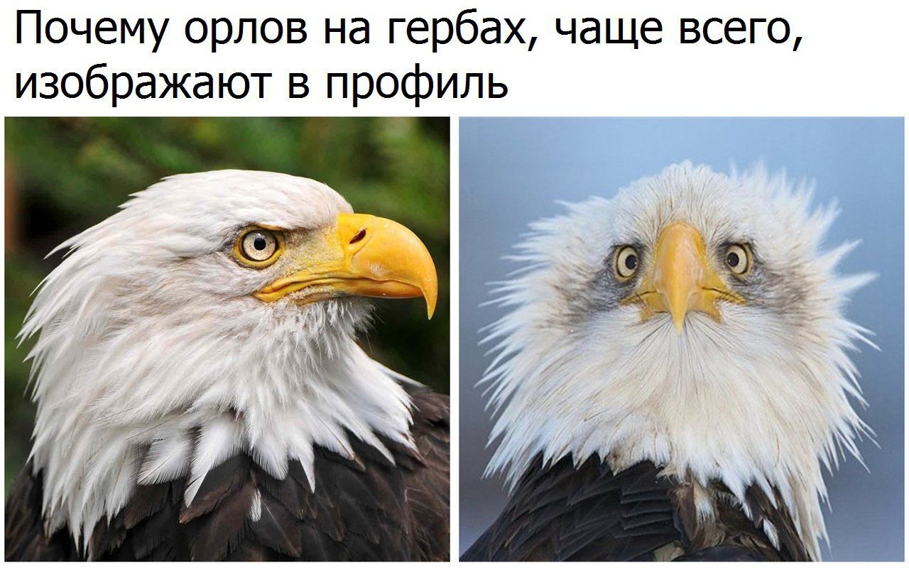  - 10  2016  19:03