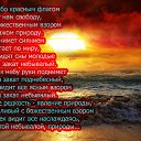 ���� ���������, ������, 44 ���� - ��������� 8 ������� 2016 � ������ ���� �����