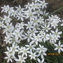 ���� ��������, ������������ - ��������� 18 ������ 2017 � ������ ���� ����������