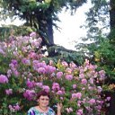 ���� �����, ��������, 62 ���� - ��������� 18 �������� 2016 � ������ �����ջ