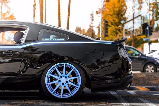 . . . Bagged Mustang GT 5.0 - 6