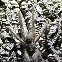 ���� ������� ������, ������, 40 ��� - ��������� 28 ������� 2016 � ������ ���� ����������