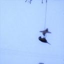 ���� Kazimieras, ����� - ��������� 17 ������ 2016 � ������ ���� ����������