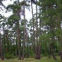 ���� ����, ������, 69 ��� - ��������� 11 ������ 2016 � ������ ���� ����������