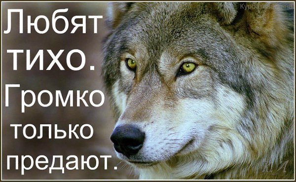 А ты представь ее в чужих руках… Такую нежную, красивую, родную. Как он, в своих объятиях сжав, Ее в ... - 2