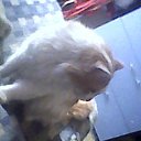 ���� M�����, ������ - ��������� 2 ������� 2016 � ������ ������ ��������