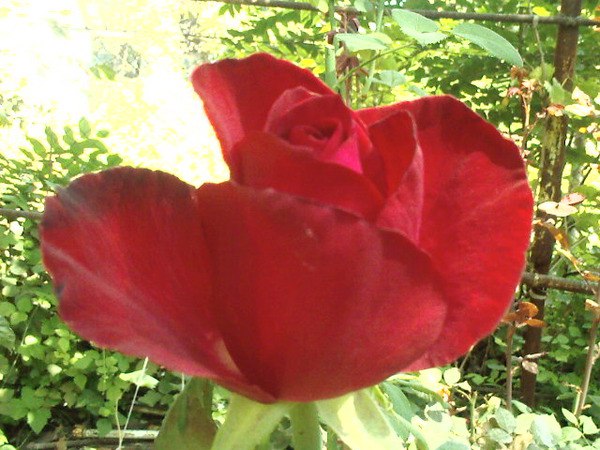 ����� - ��� ������ �������... - 3