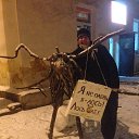 ���� ���������, �������, 38 ��� - ��������� 28 ������� 2017 � ������ ���� ����������