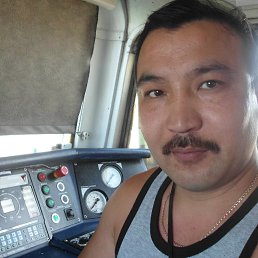 �����, ������� ���������, 46 ���