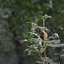  ,  -  6  2016       1  2016 