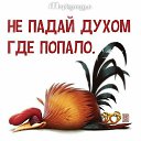 ���� ��������, ������, 58 ��� - ��������� 24 ������� 2017 � ������ ��������